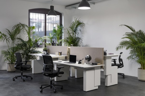 Che cosa si intende per postazione di lavoro e come organizzarla? 