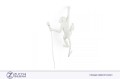 Lampada Monkey Lamp Seletti ZUCCHI  arredamenti scimmia simpatica e furtiva Arte design 05